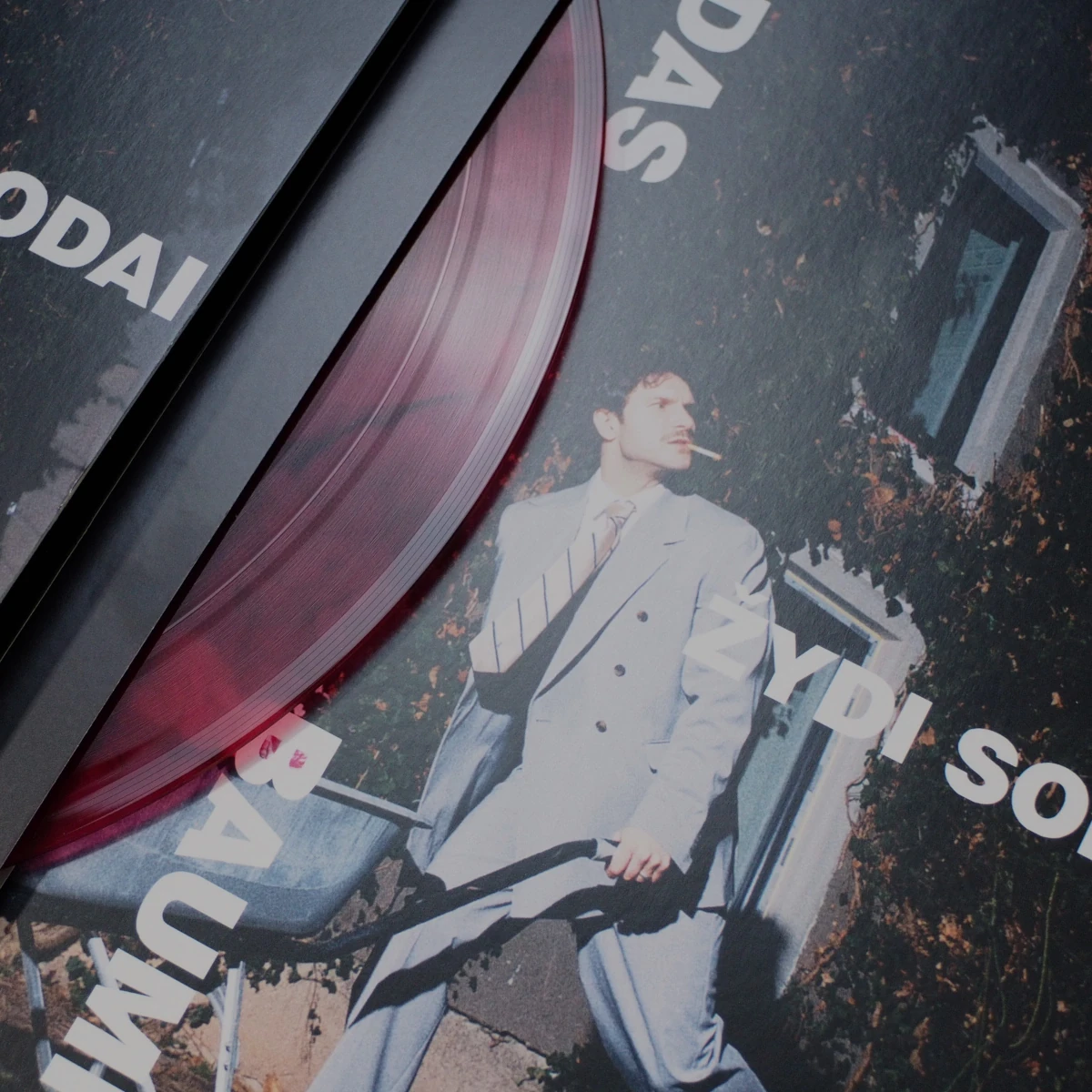 Vinyl partially visible in sleeve over Vaidas Baumila album cover