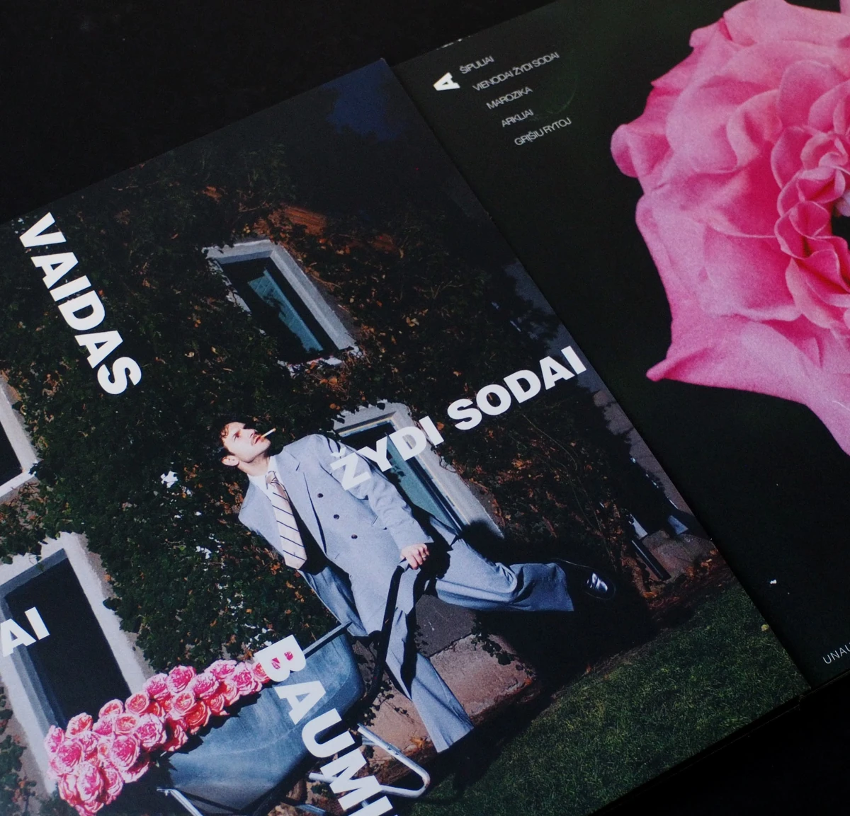 Vaidas Baumila album artwork and lyrics insert with pink rose detail