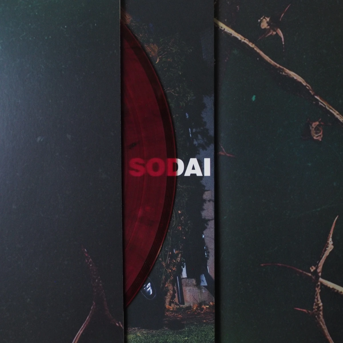 Vinyl spine showing word 'SODAI' with partial sleeve view