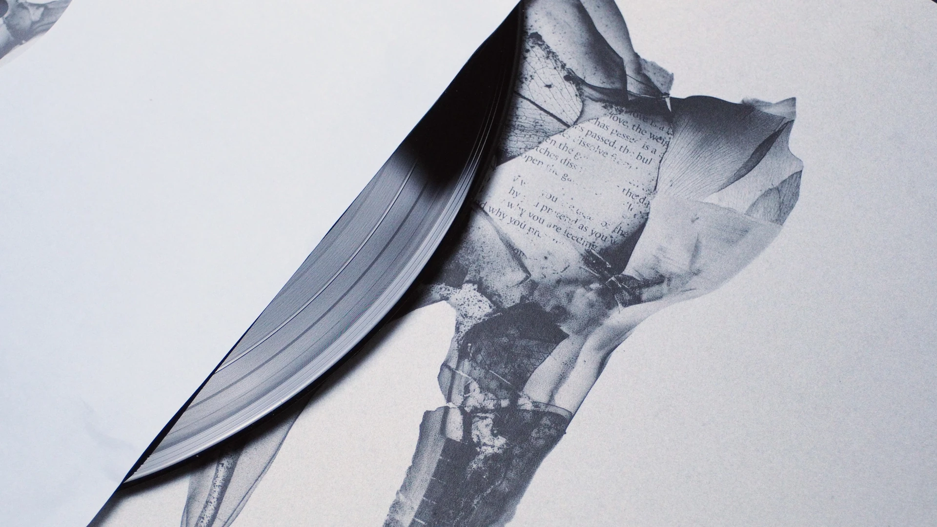 Vinyl half inside sleeve, revealing monochrome artwork and organic textures.